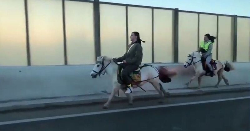 Это вам не мотоциклисты! Две девушки на лошадях пронеслись по проспекту среди машин