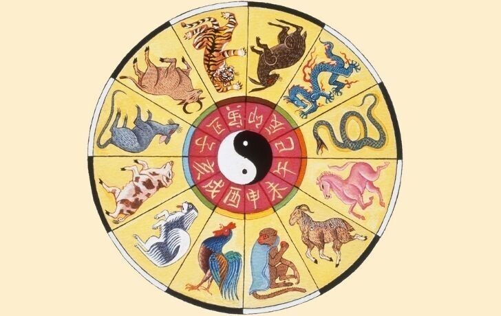 1. В Китае очень древняя система астрологических знаков, настолько интересная, что используется во всем мире
