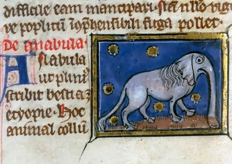 Чудище носатое: как в Средневековье рисовали слонов