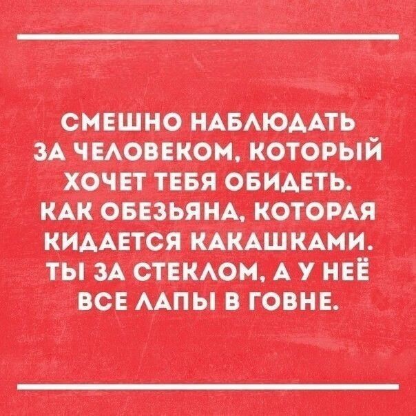 Полит стёб, и не только, в картинках
