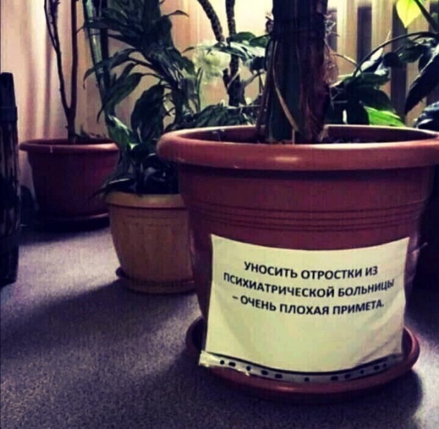 Полит стёб, и не только, в картинках