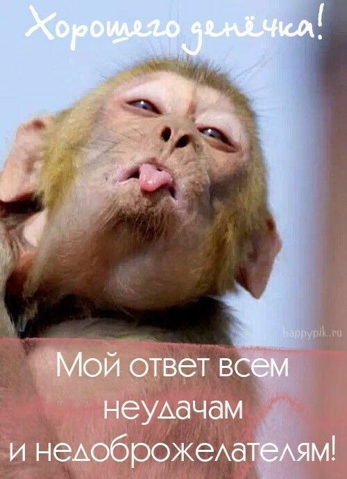 Полит стёб, и не только, в картинках