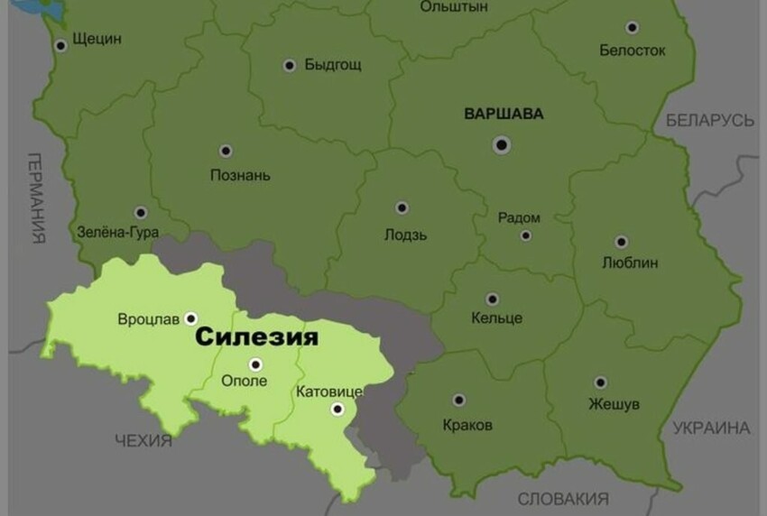 Поляки на службе Третьего рейха