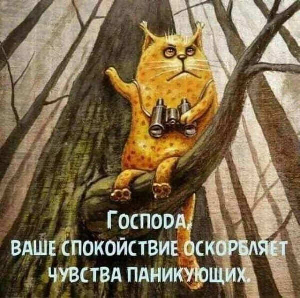 О политике и не только