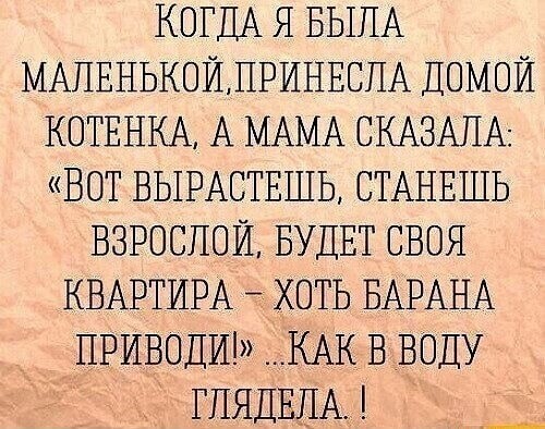 Полит.стёб и другие картинки четверга 15.04.2021