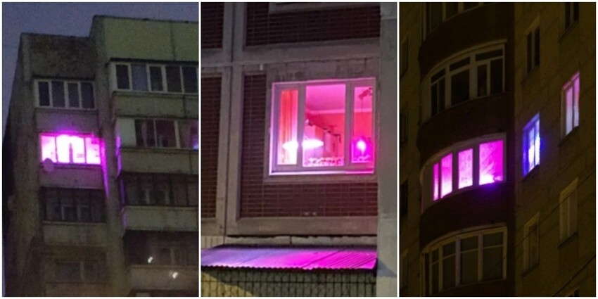 Загадочные фиолетовые окна в домах россиян: зачем люди включают этот яркий свет?
