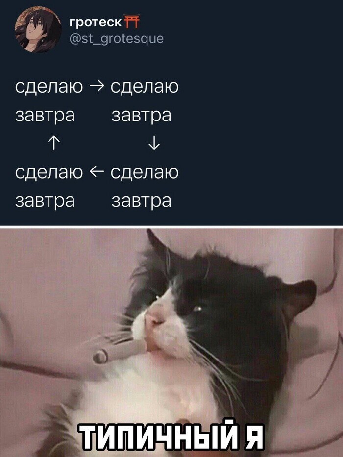 Скрины из соцсетей