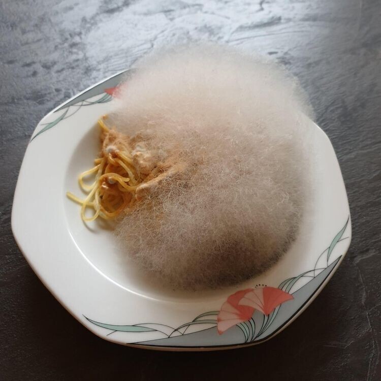 "Забыл на неделю спагетти с грибами в микроволновке. Теперь это шар плесени"