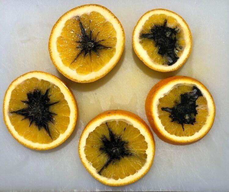 Эти апельсины заплесневели и стали выглядеть как звёзды