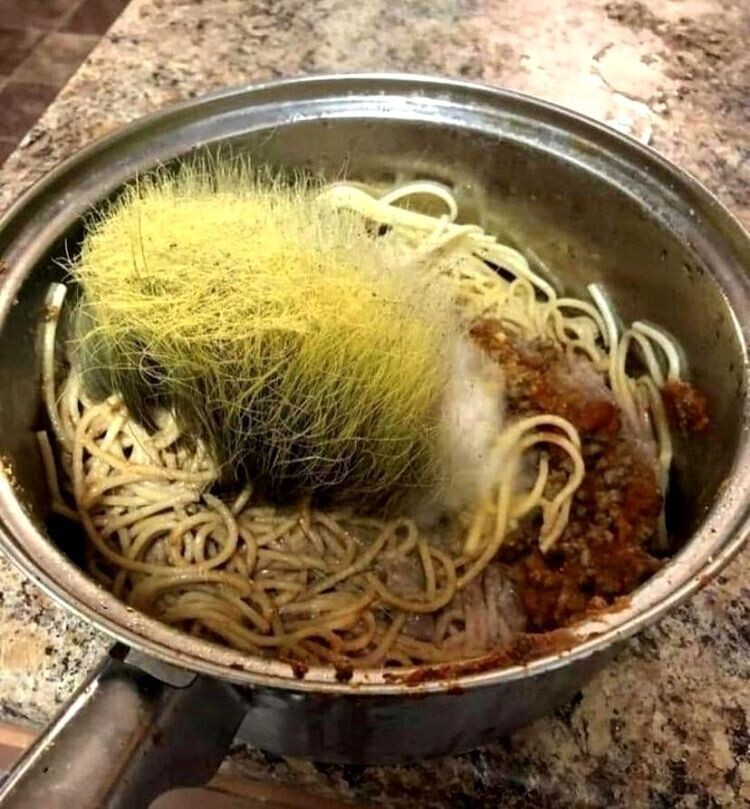 Кто посеял траву на спагетти?