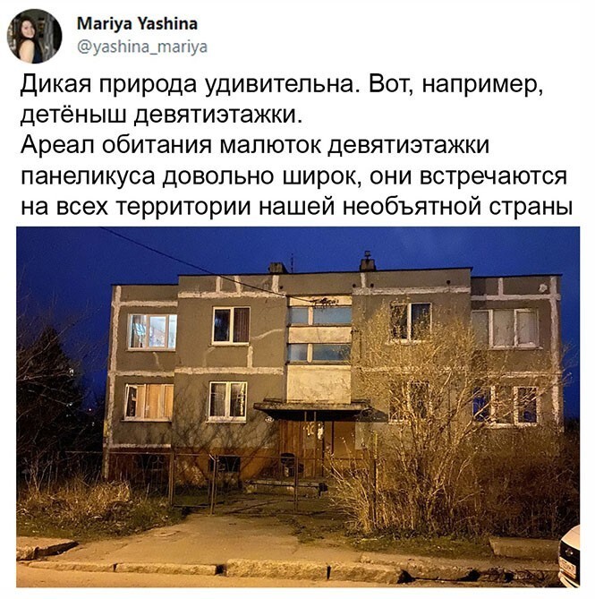 Смешные и познавательные картинки