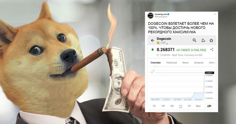 Полцарства на Dogecoin, или история невероятного взлета