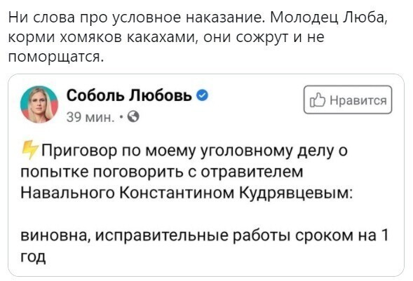 О политике и не только