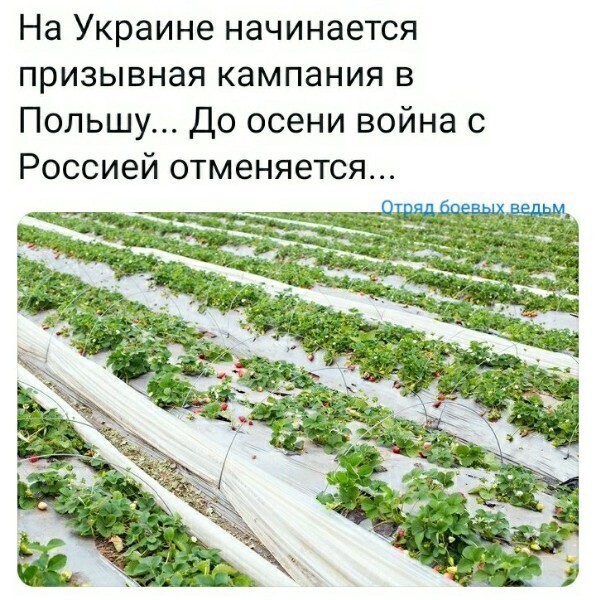 О политике и не только