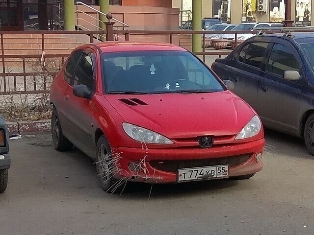 Автовсячина