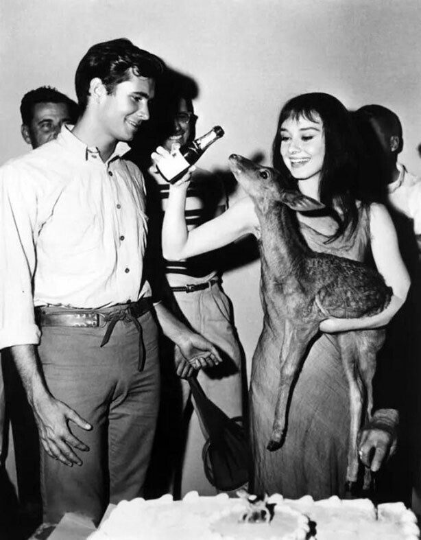 Одри Хепберн и её олененок Пиппин, 1959 г.