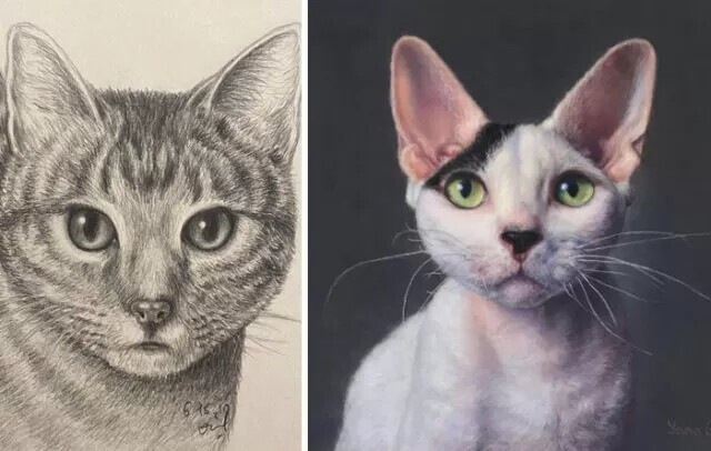 Первый рисунок кошки и последняя работа. Прогресс за 3 года