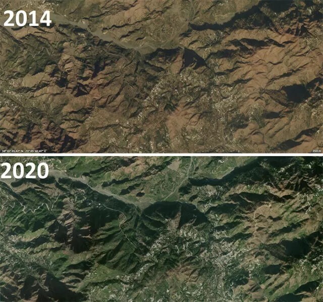 В горах Пакистана всего за 6 лет высадили более 1 миллиарда деревьев