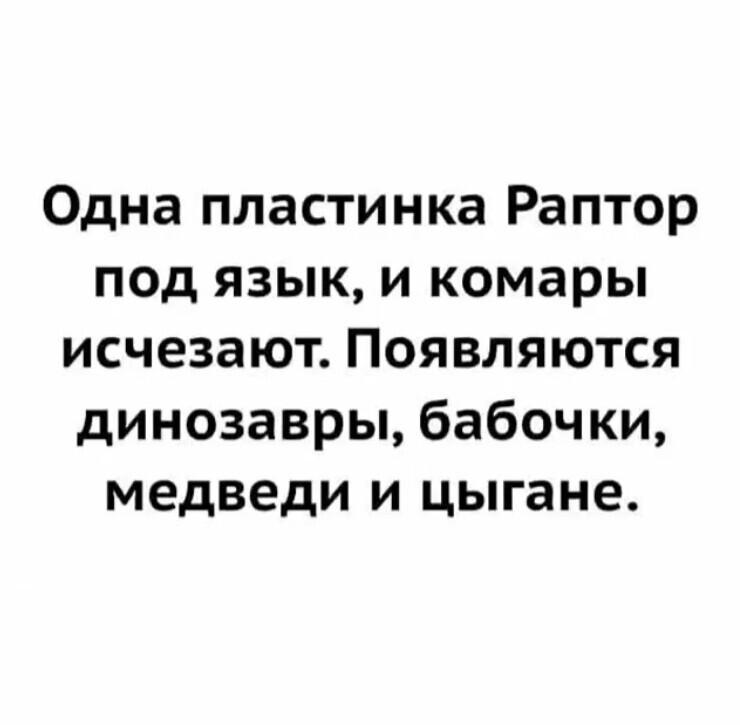 Весёлые истории о нас, очередной выпуск