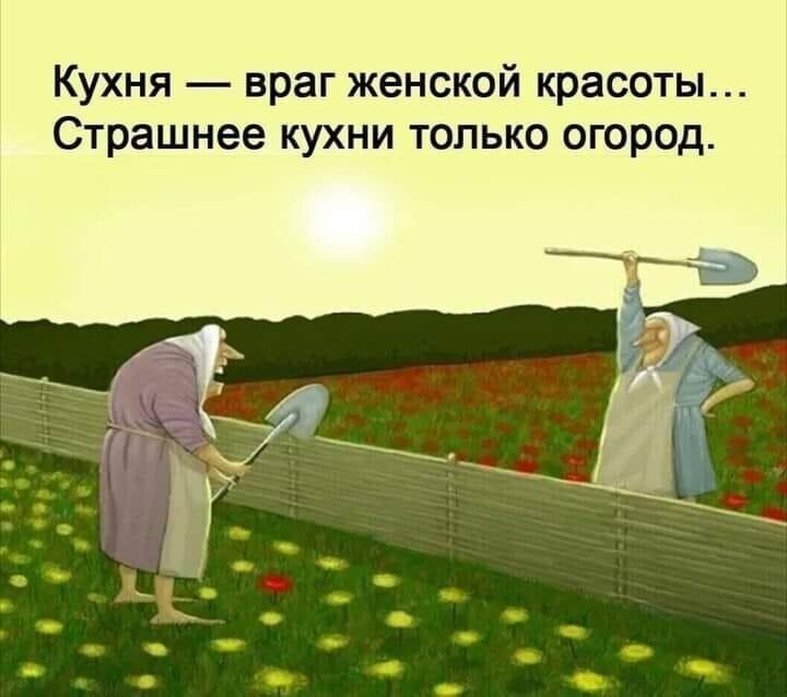 Весёлые истории о нас, очередной выпуск