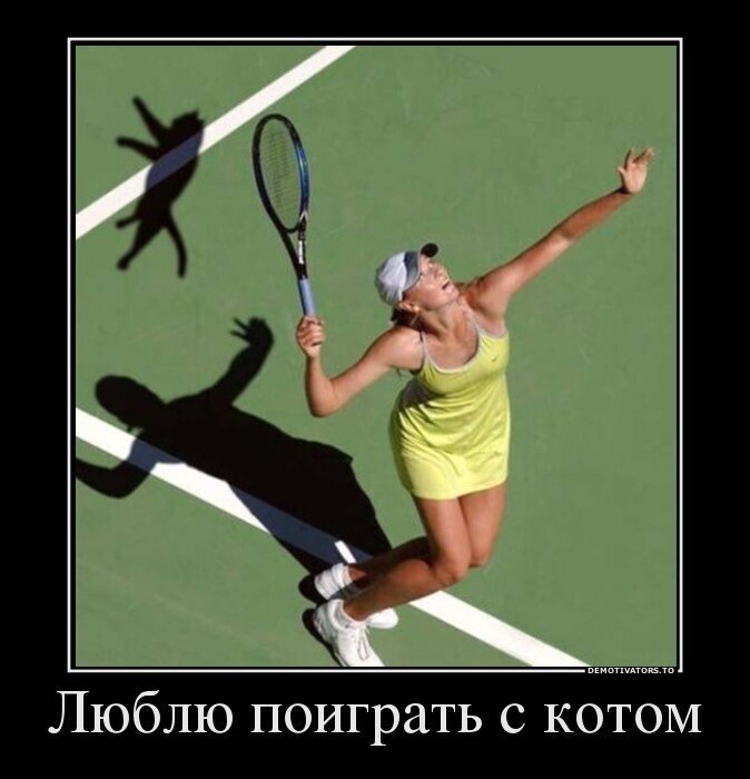 Полит стеб и другое