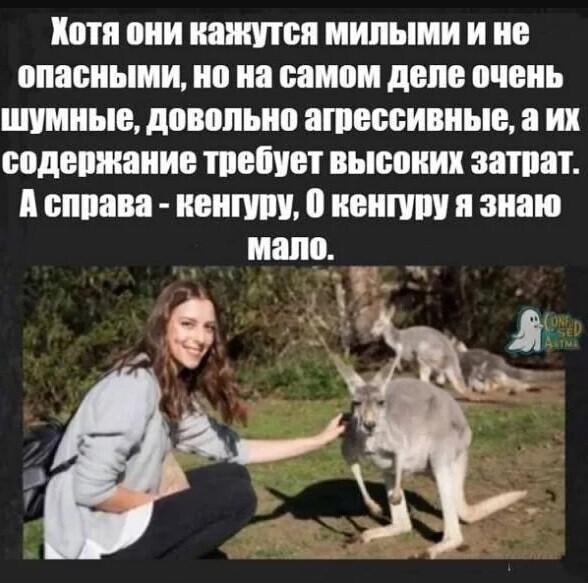 7. Согласны?