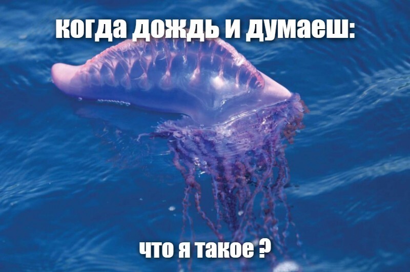 когда дождь и думаеш: