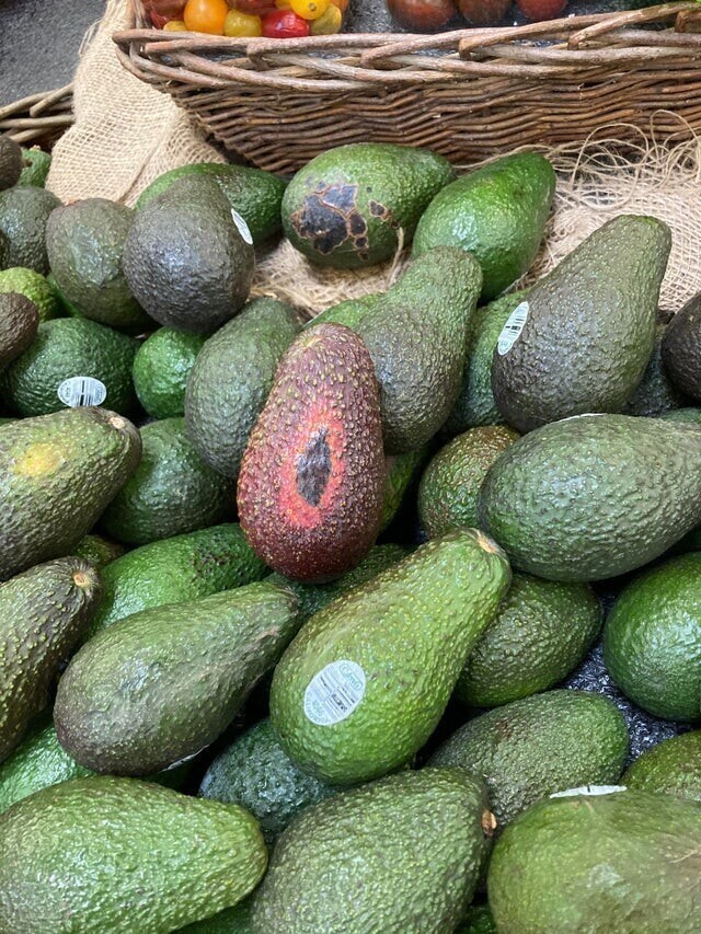 1. Разгневанный авокадо
