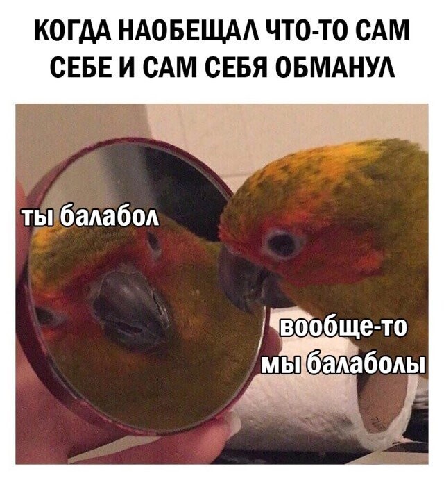 Намешалось