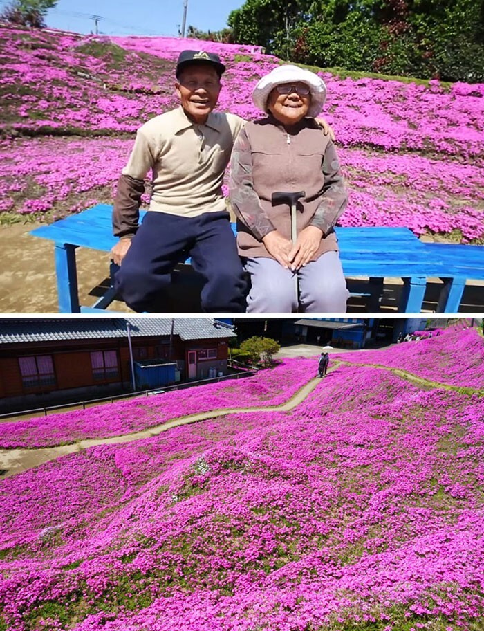 1. Муж потратил два года, чтобы посадить тысячи ароматных цветов для своей слепой жены, чтобы помочь ей справиться с депрессией