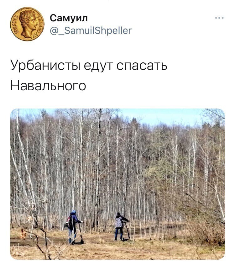 О политике и не только