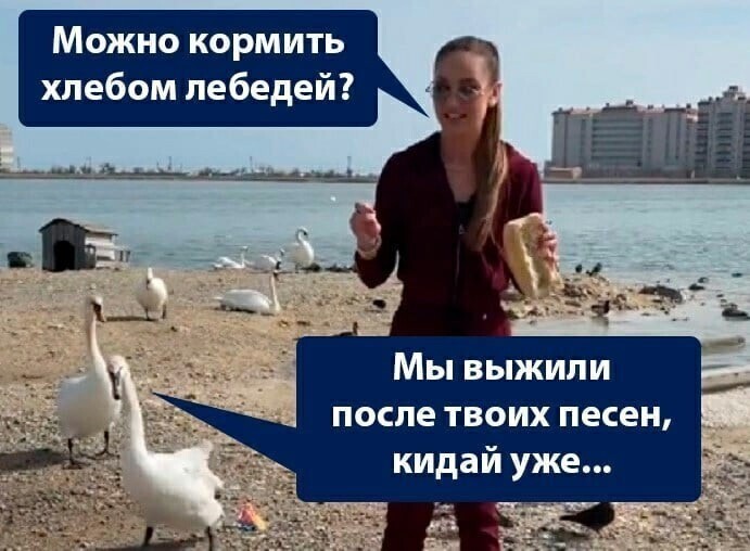 О политике и не только
