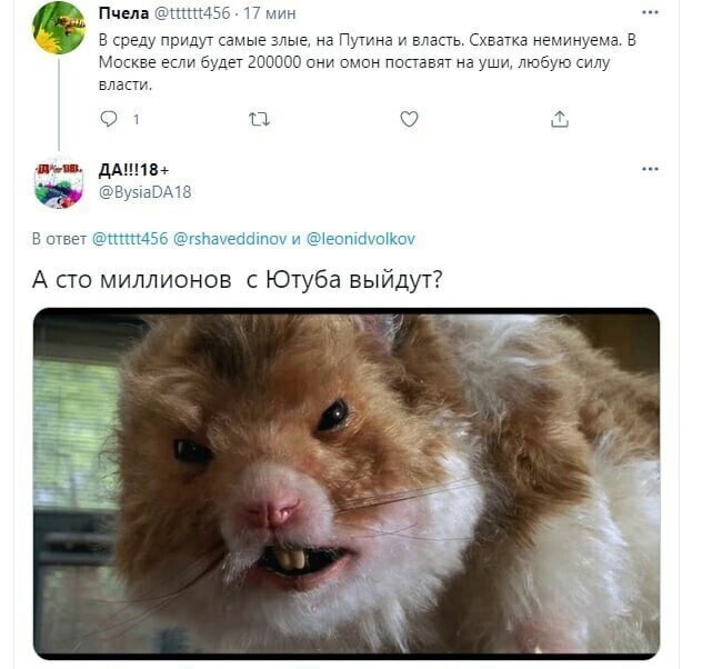 О политике и не только