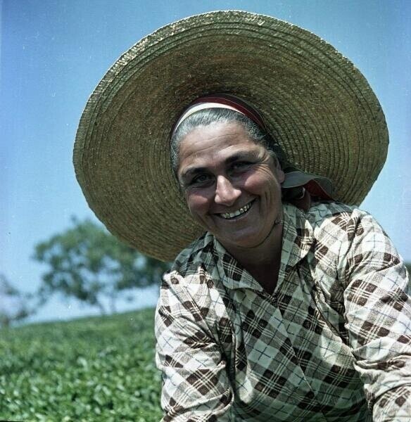 Советские будни на цветных фотографиях 1960-х