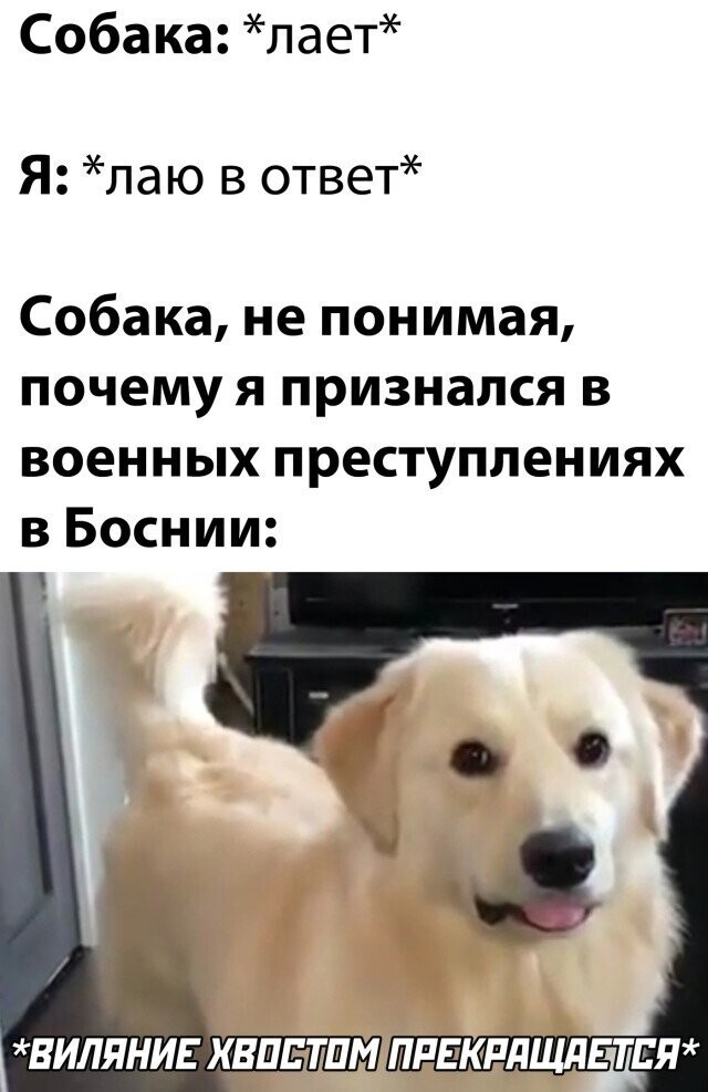 Намешалось