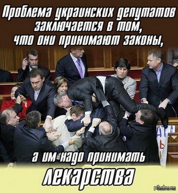О политике и не только