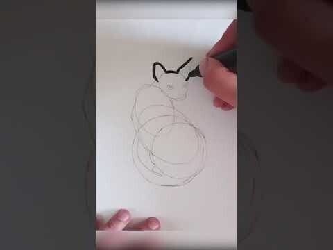 Как легко нарисовать кота 
