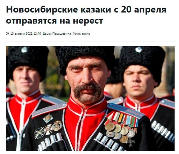 Юмор, сатира, цитаты, всё из жизни и ситуаций