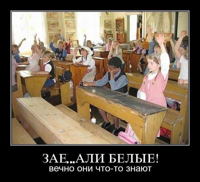 Юмор, сатира, цитаты, всё из жизни и ситуаций