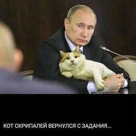 О политике и не только