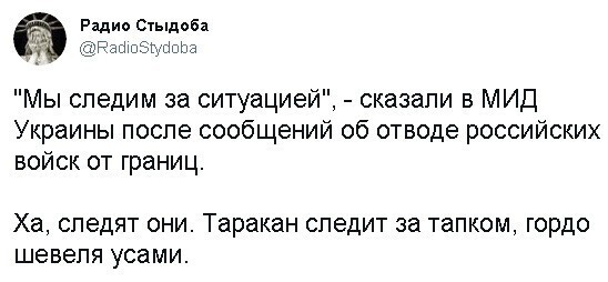 Полит стёб 24.04.21