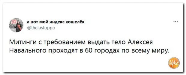 Полит стёб 24.04.21