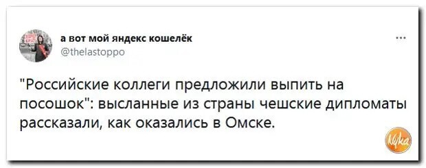 Полит стёб 24.04.21