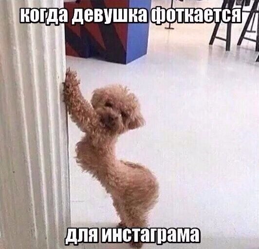 Весёлые истории о нас ( Очередной выпуск 25.04.21.)