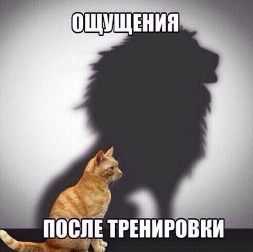 Весёлые истории о нас ( Очередной выпуск 25.04.21.)