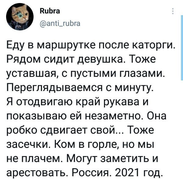 О политике и не только