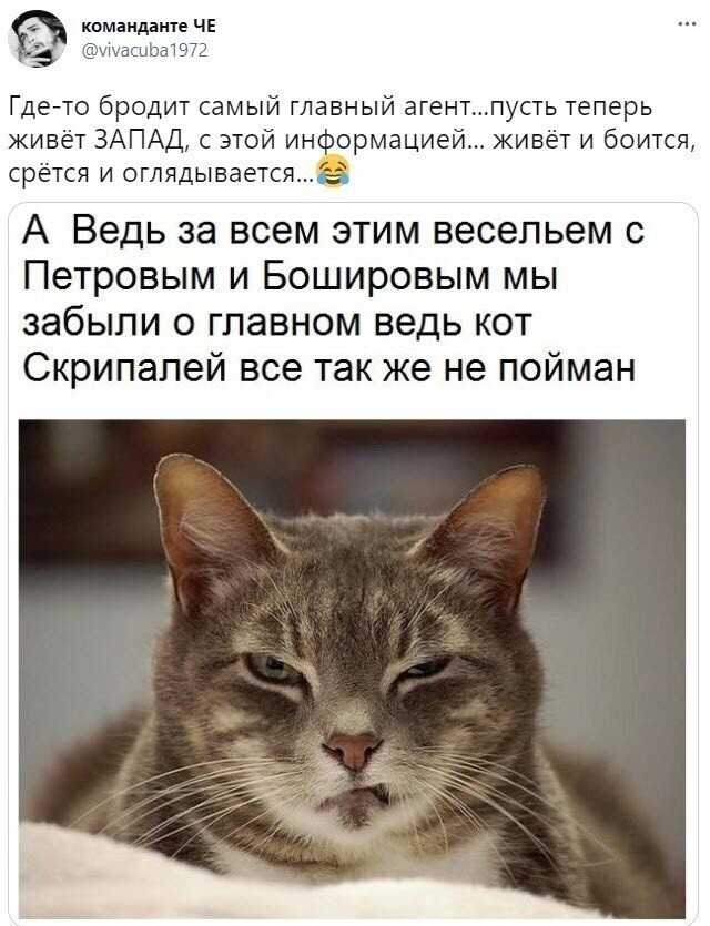 О политике и не только