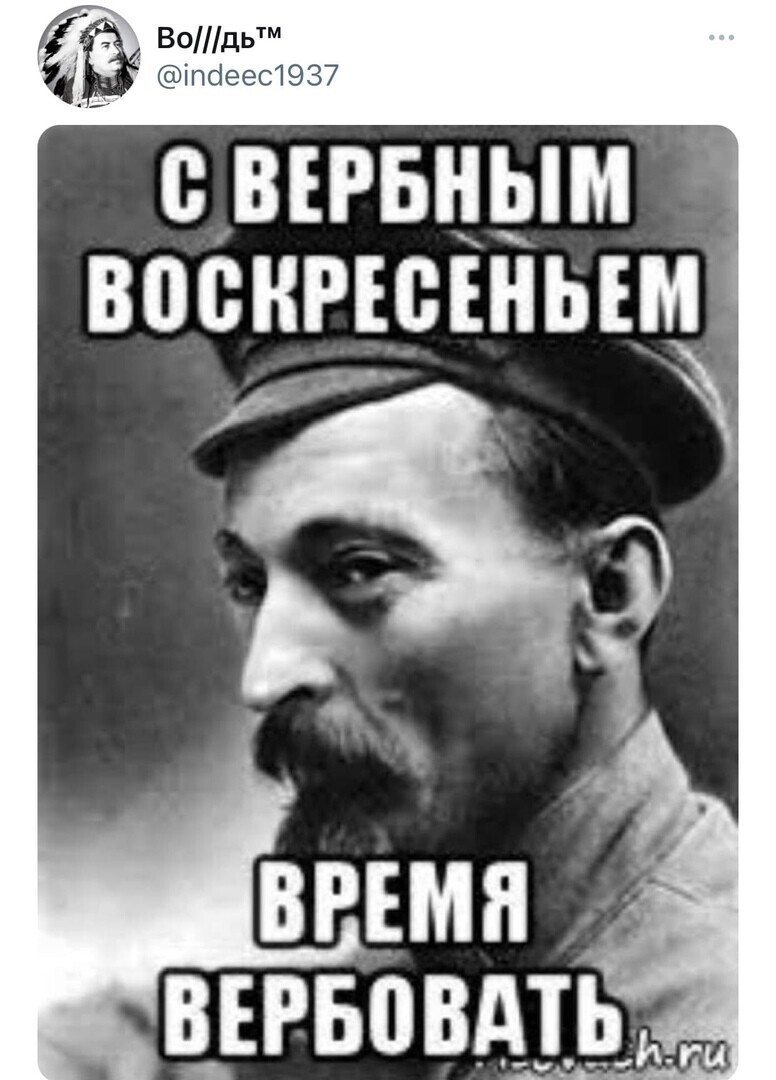 О политике и не только