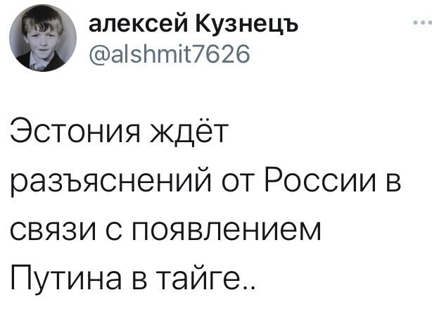 О политике и не только