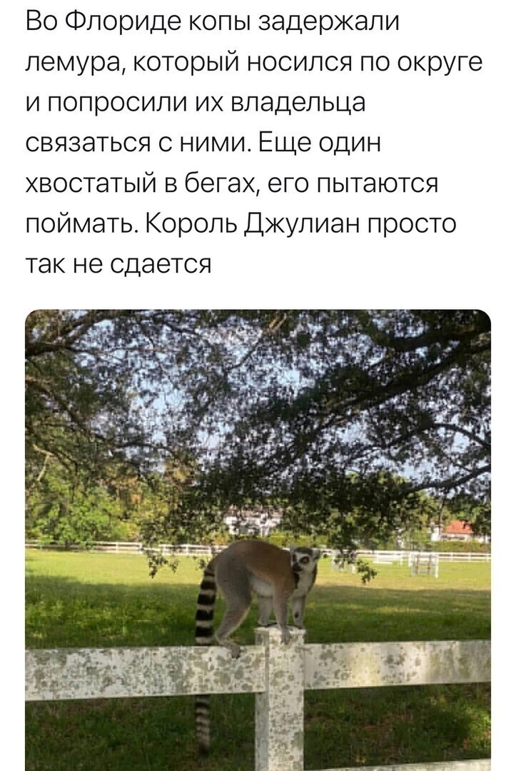 О политике и не только